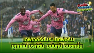 brighton everton เอฟเวอร์ตัน